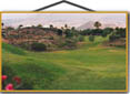 golf course view