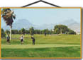 golf course view